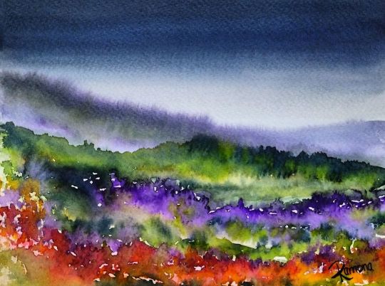 92363177_2186513518156544_6231476369394499584_o